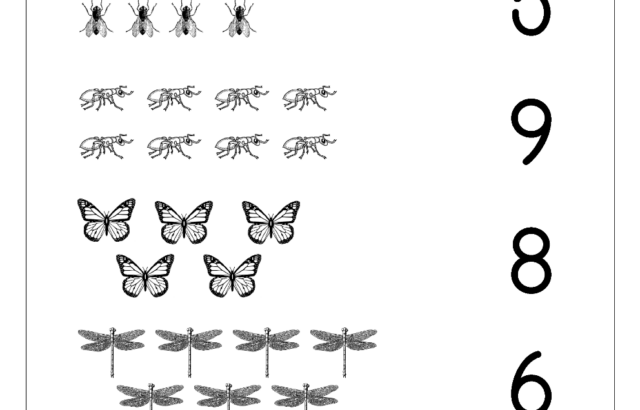 Bug counting worksheet with insects and large numbers
