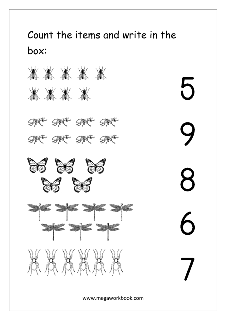 Bug counting worksheet with insects and large numbers