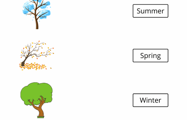 Season worksheet with tree illustrations and labels