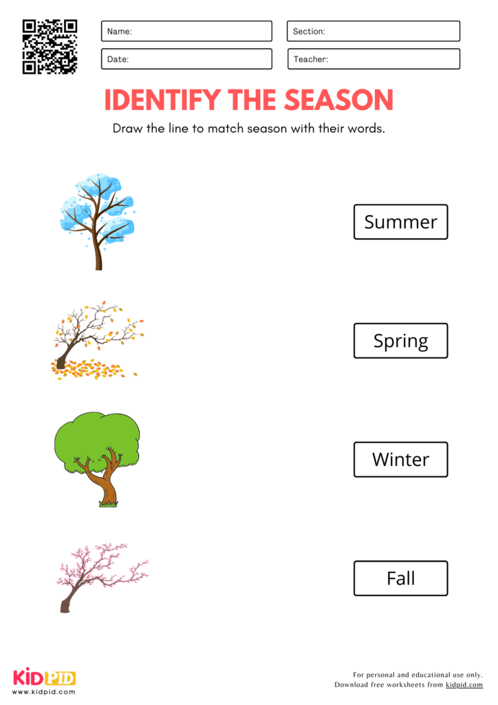 Season worksheet with tree illustrations and labels