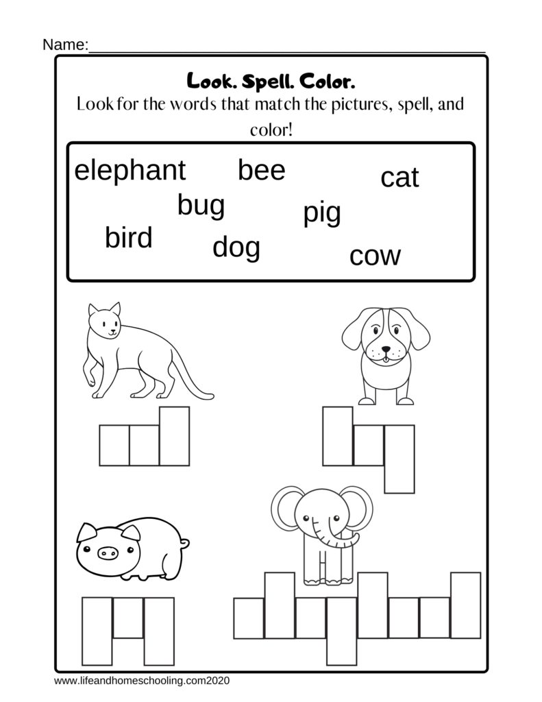 Animal spelling worksheet with pictures and word bank