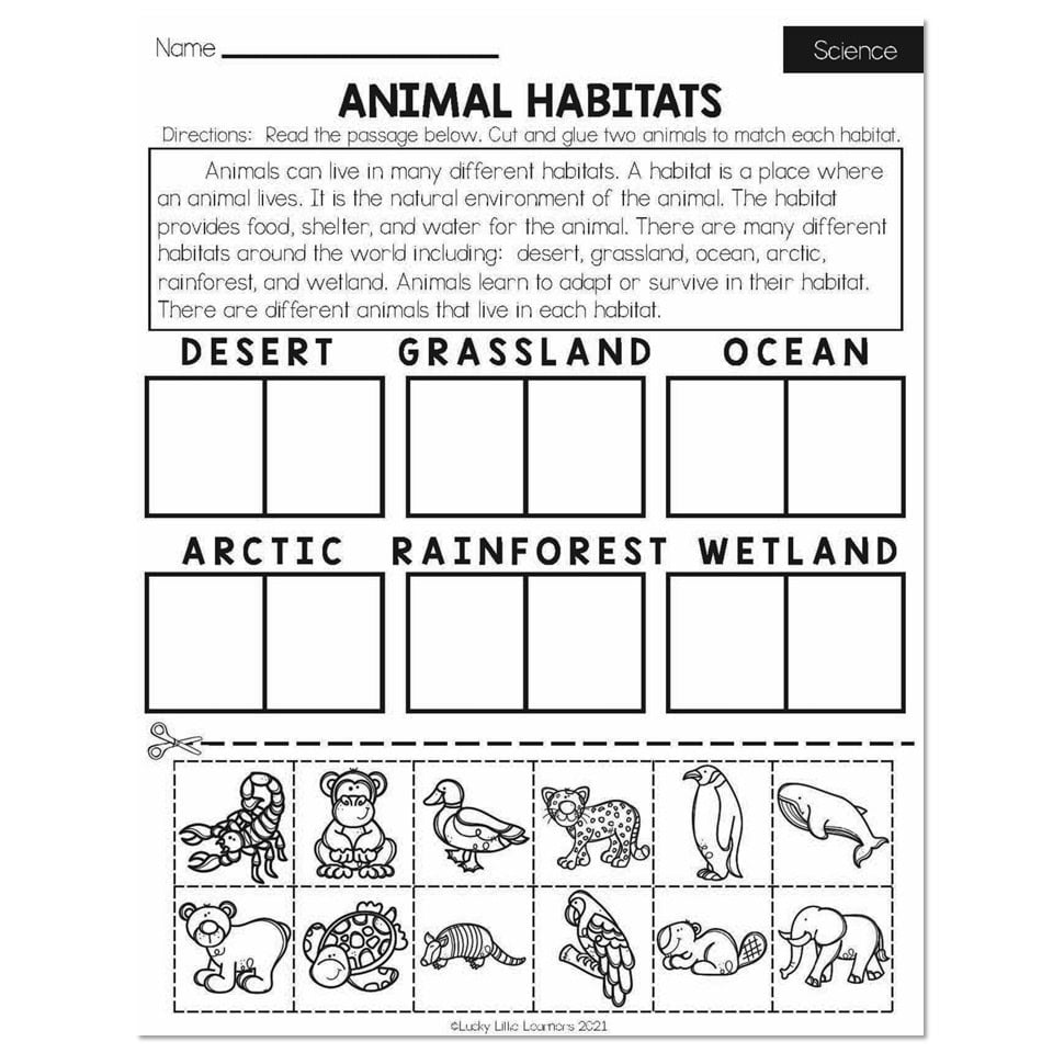 Animal habitats worksheet with labeled boxes and animal drawings