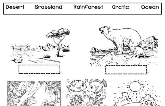 Science habitat labeling worksheet with five animal drawings