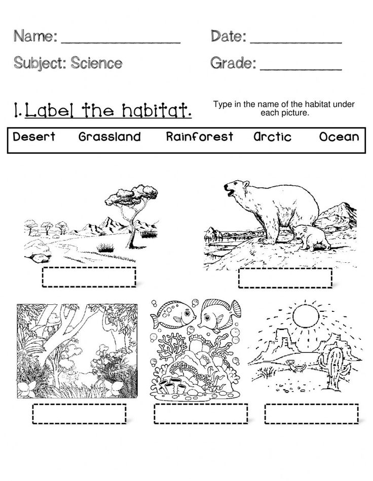 Science habitat labeling worksheet with five animal drawings