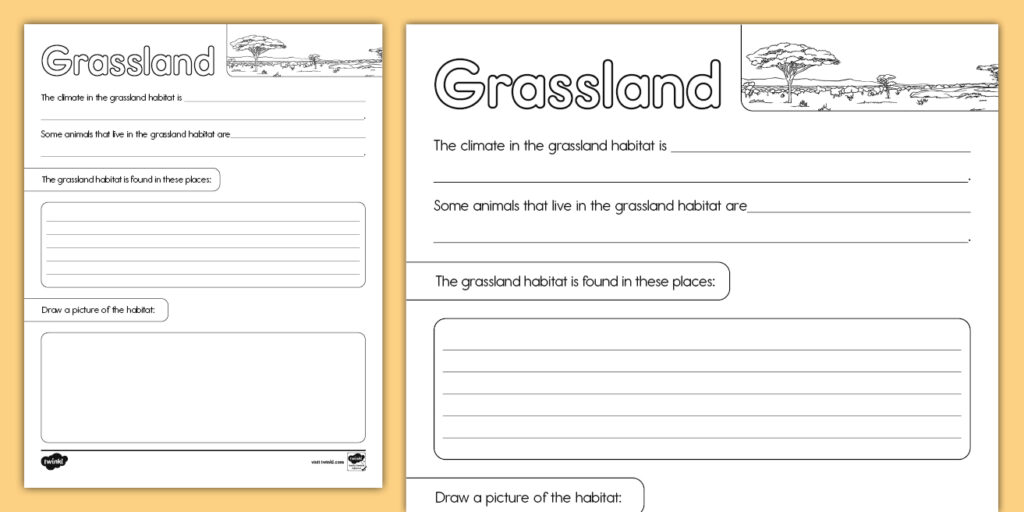 Two grassland habitat worksheet pages on beige background