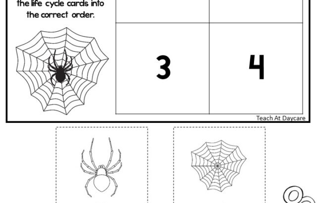 Spider life cycle worksheet with numbered boxes and cutouts