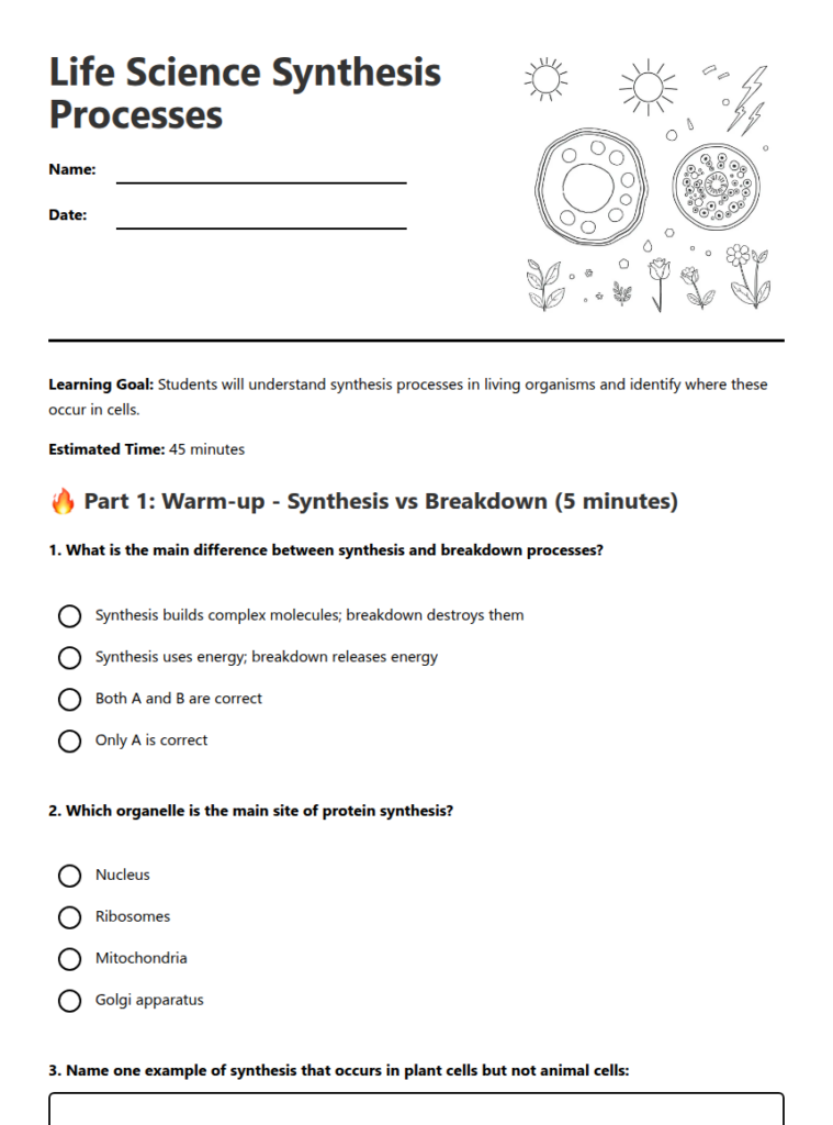 Life science synthesis processes worksheet with questions and illustrations