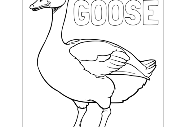Outline drawing of goose with the word GOOSE