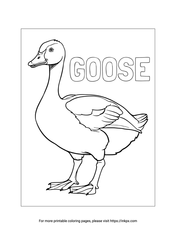 Outline drawing of goose with the word GOOSE