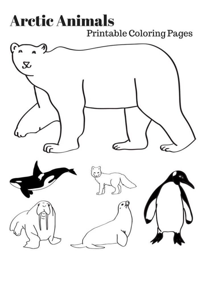 Arctic animals printable coloring page with polar bear, penguin, seal, walrus, fox, and orca