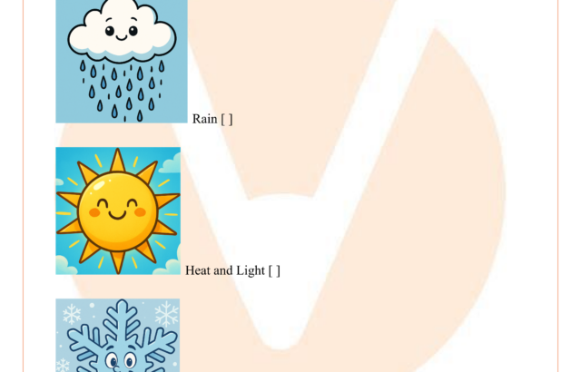 Kindergarten science worksheet with rain, sun, and snow images