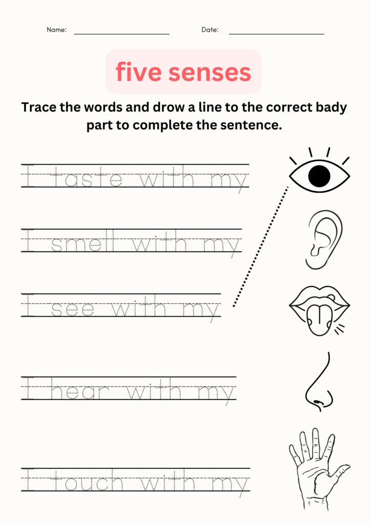 Five senses worksheet with tracing lines and body icons