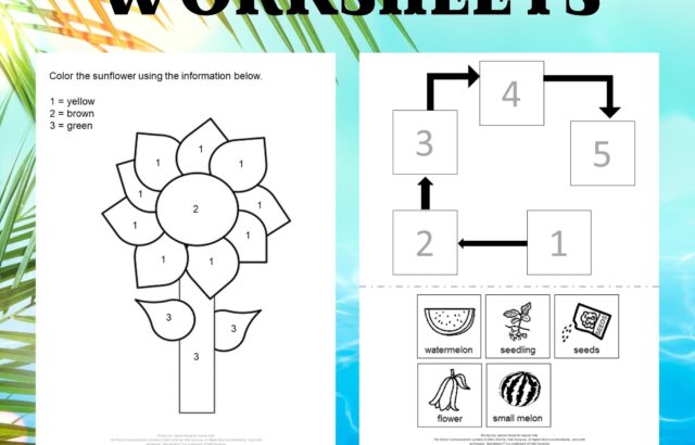 Summer no prep worksheets poster with two activity sheets