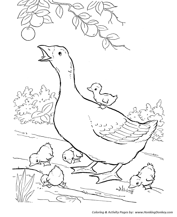Goose with goslings under fruit tree branches