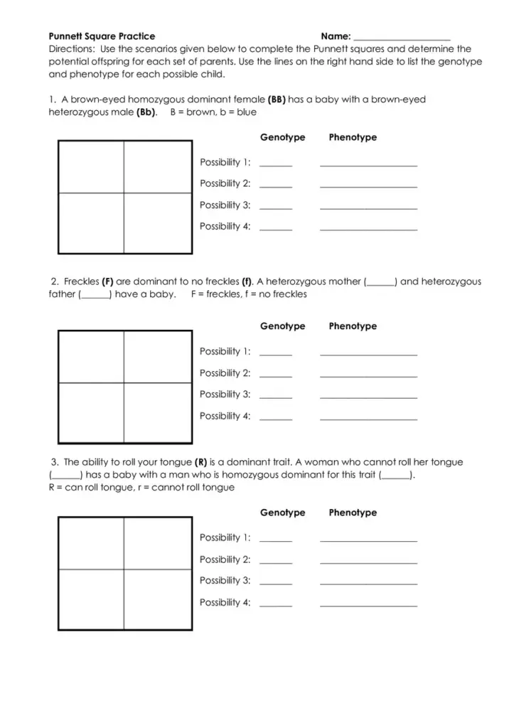 Punnett square practice worksheet with three genetics problems