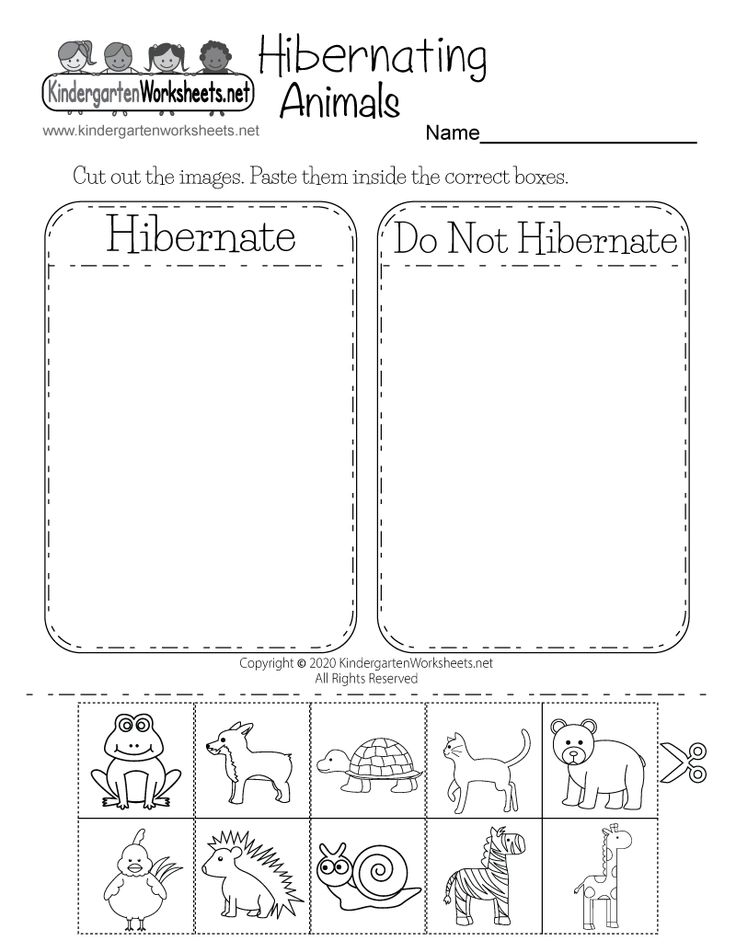 Hibernating animals worksheet with empty sorting boxes and animal drawings
