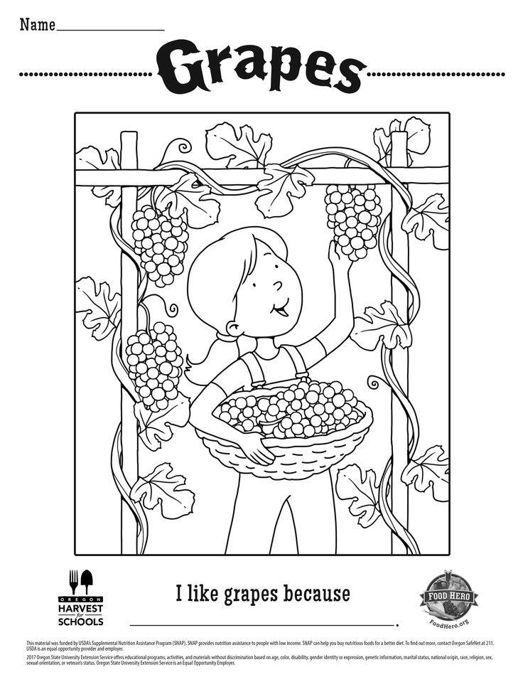 Grapes coloring page with child holding basket