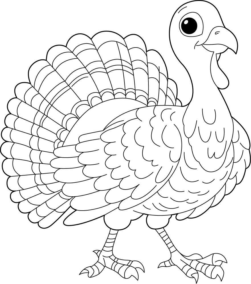 Black-and-white line drawing of a turkey