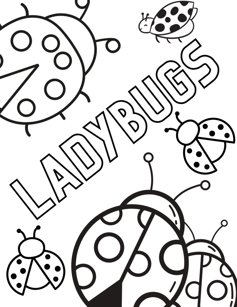 Ladybugs and the word ADVBUGS in bold letters