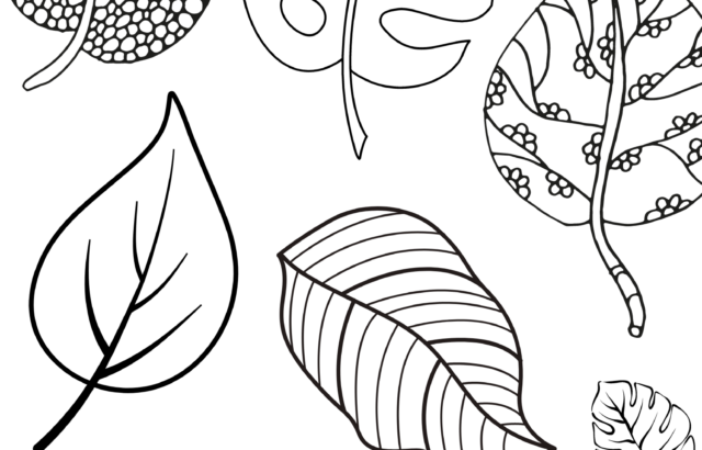Black-and-white outline collage of various leaves on white