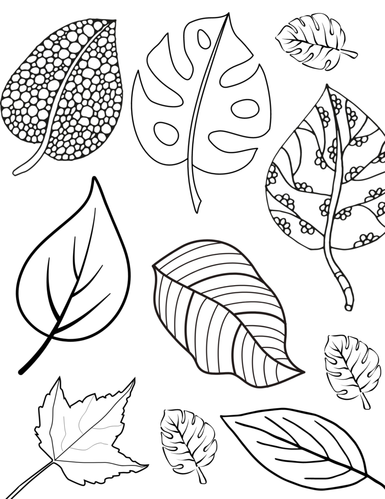 Black-and-white outline collage of various leaves on white