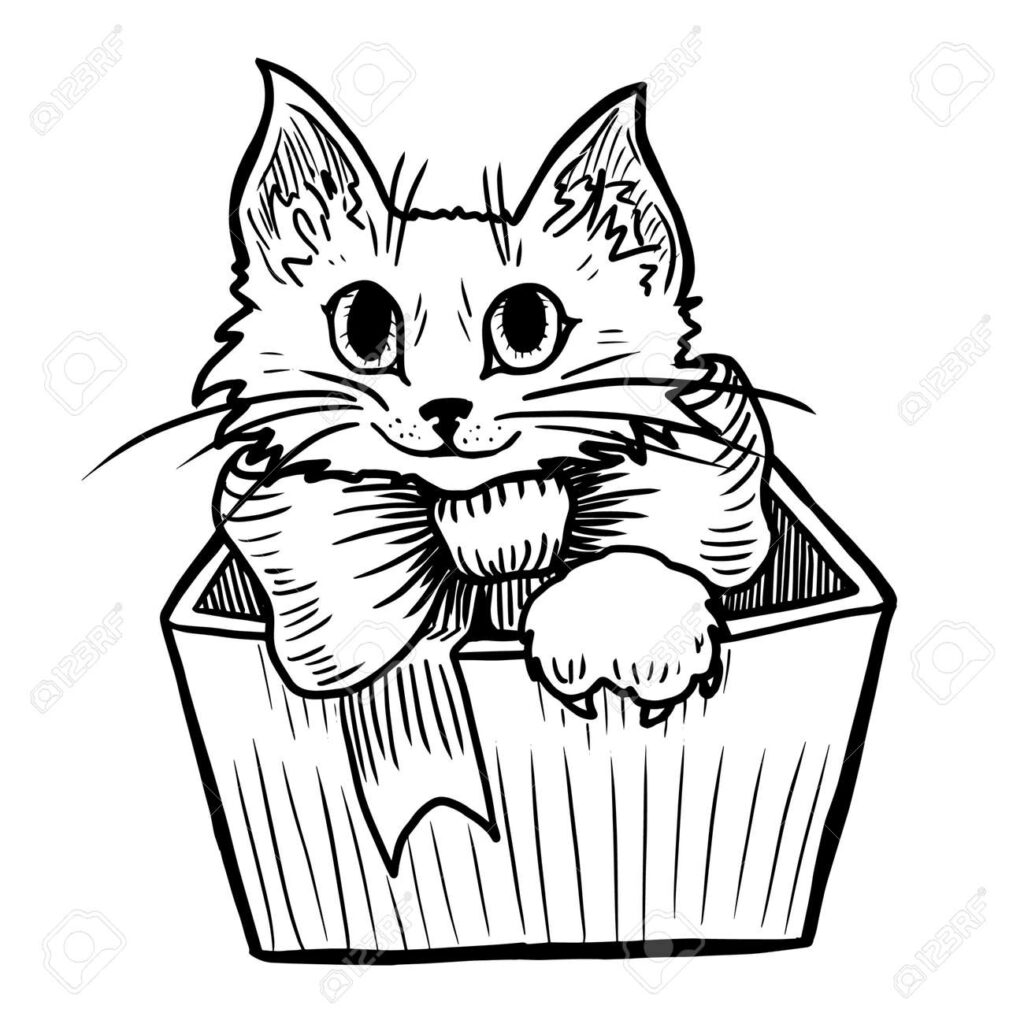 Black-and-white kitten peeking from a wooden box
