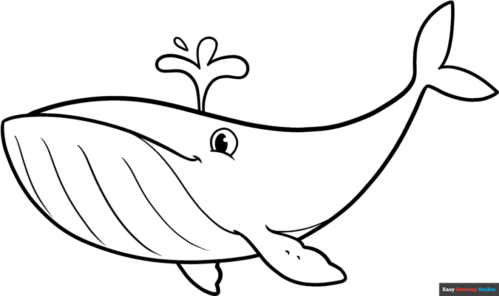 Cartoon whale outline on white background, with water spout