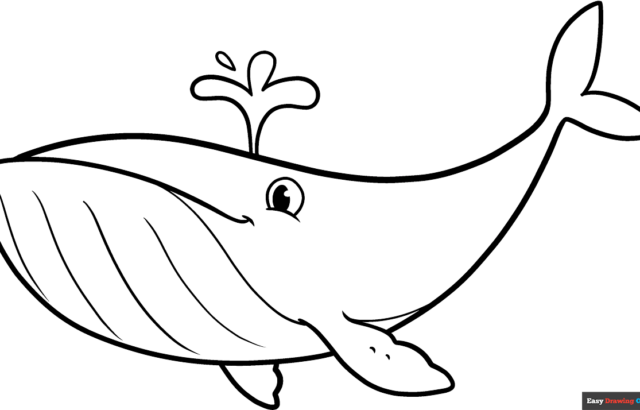 Cartoon whale outline on white background, with water spout