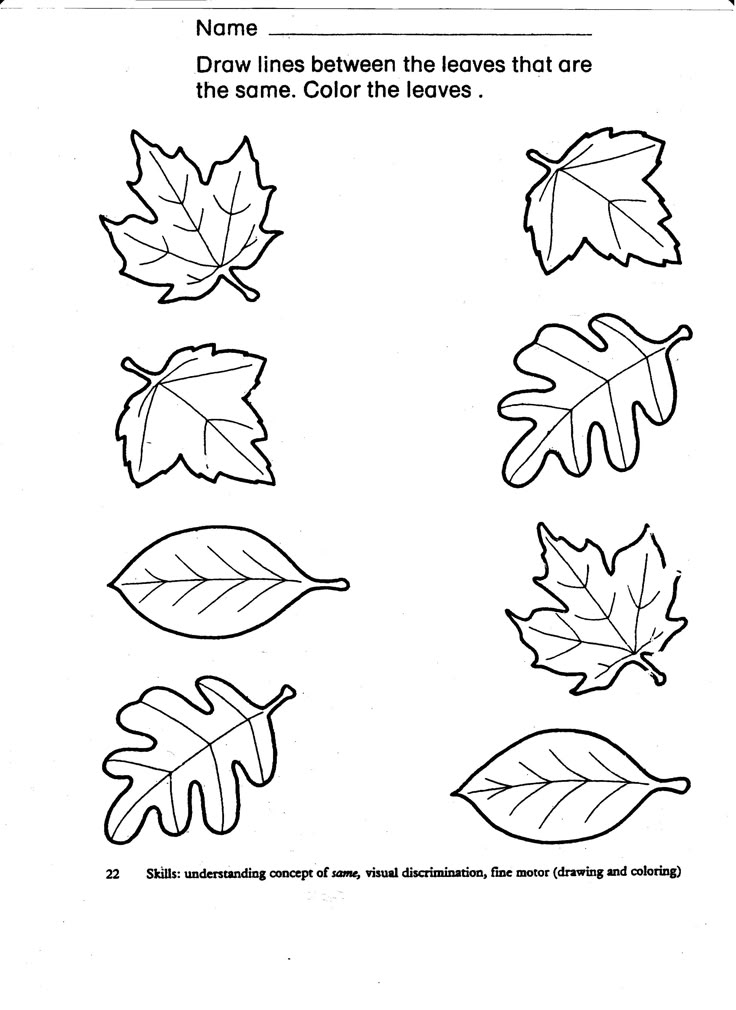Leaf matching worksheet with eight outlined leaves