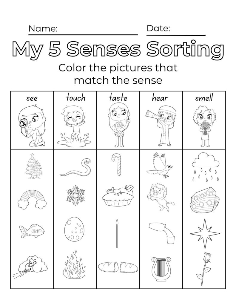 Five senses sorting worksheet with illustrated icons and labels