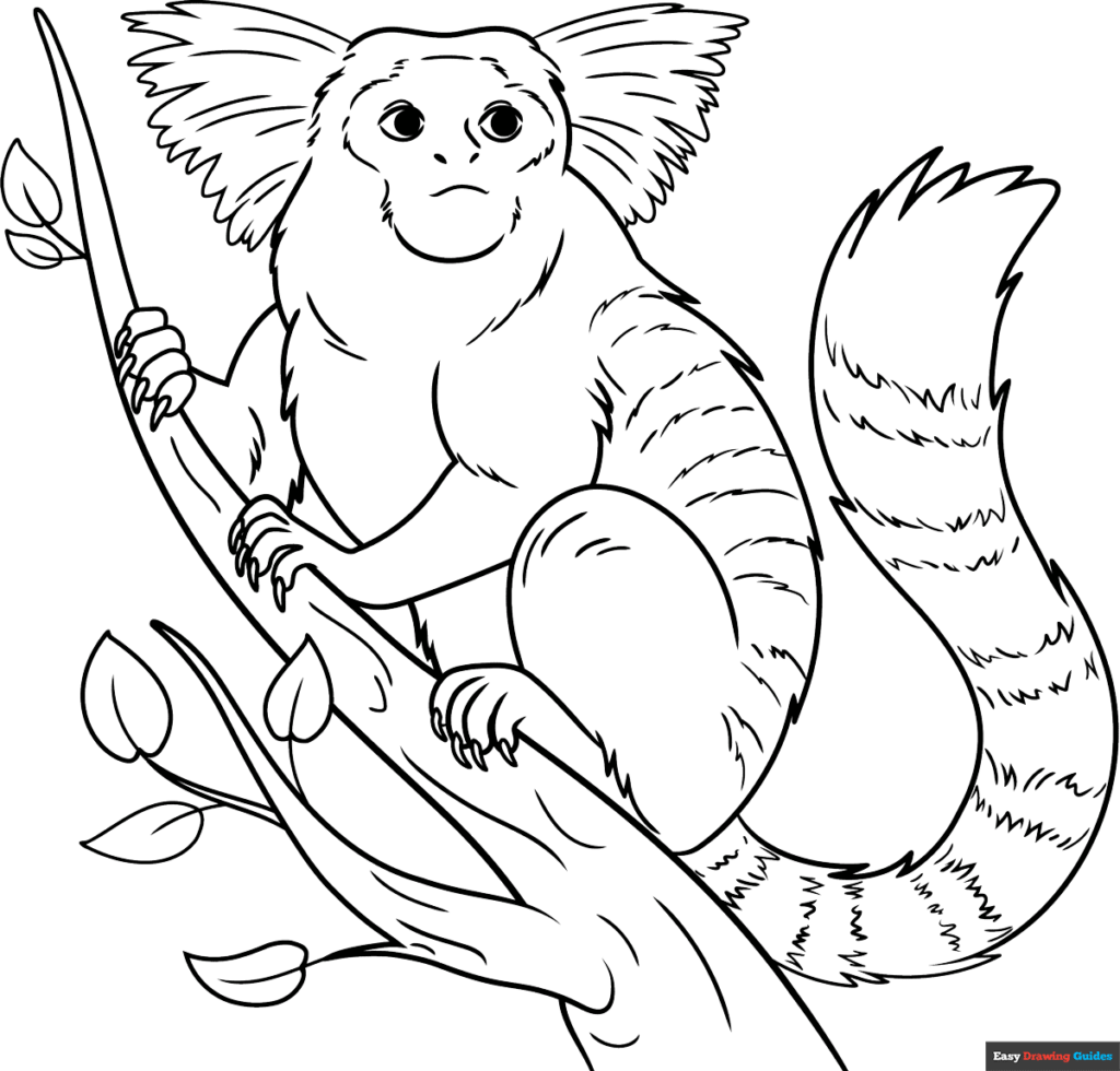 Black-and-white drawing of a squirrel on a branch