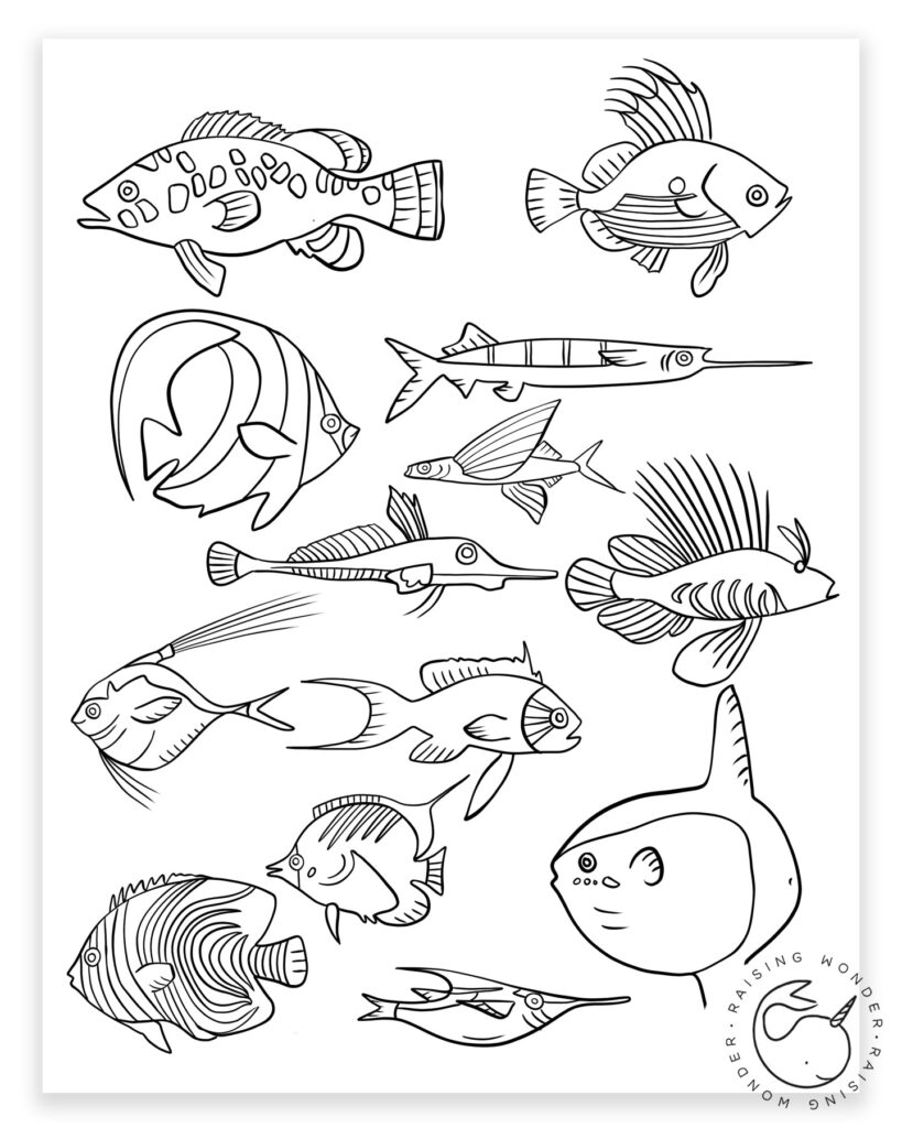Black-and-white page of assorted fish illustrations