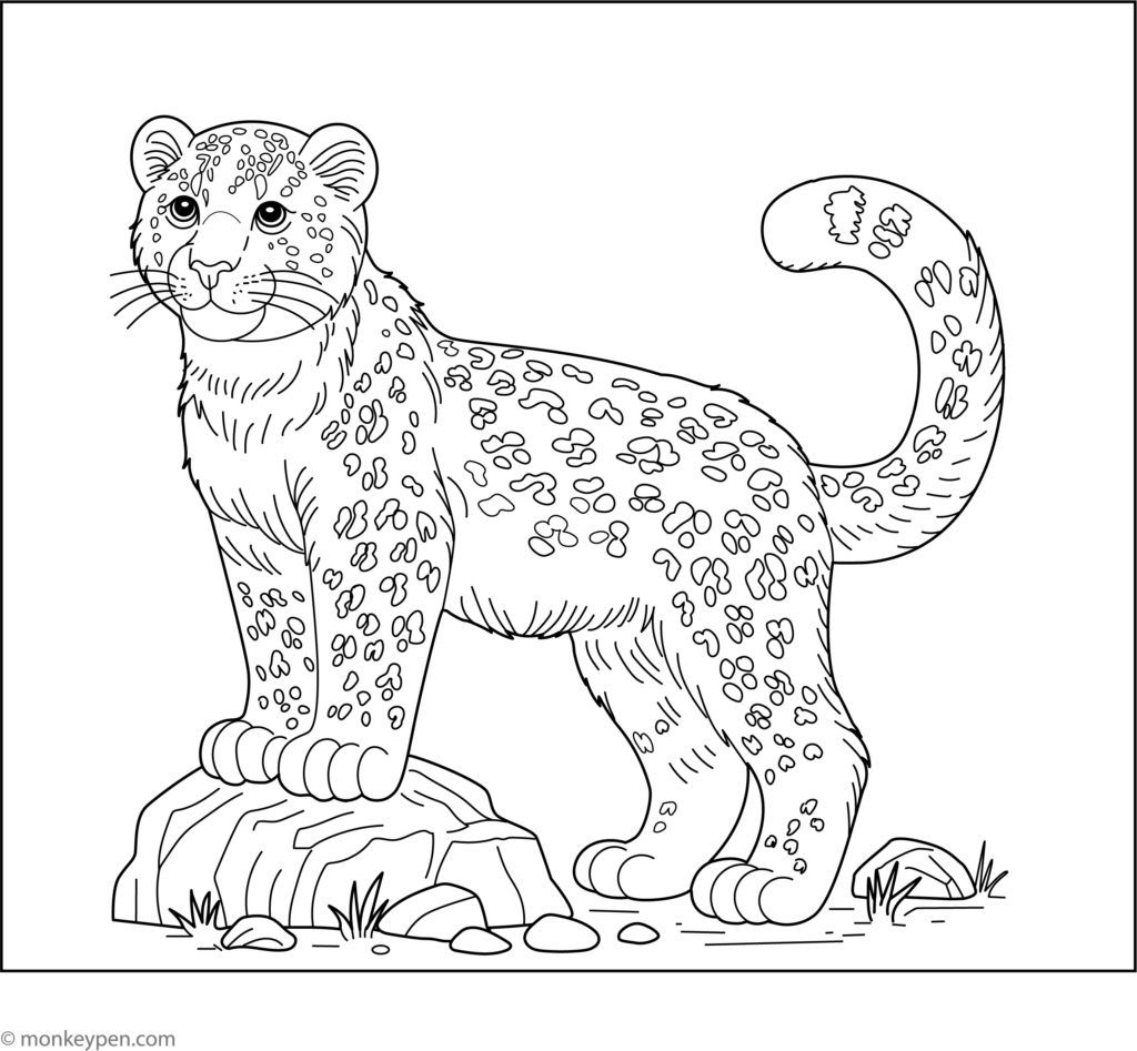 Black-and-white drawing of a leopard standing on rocks
