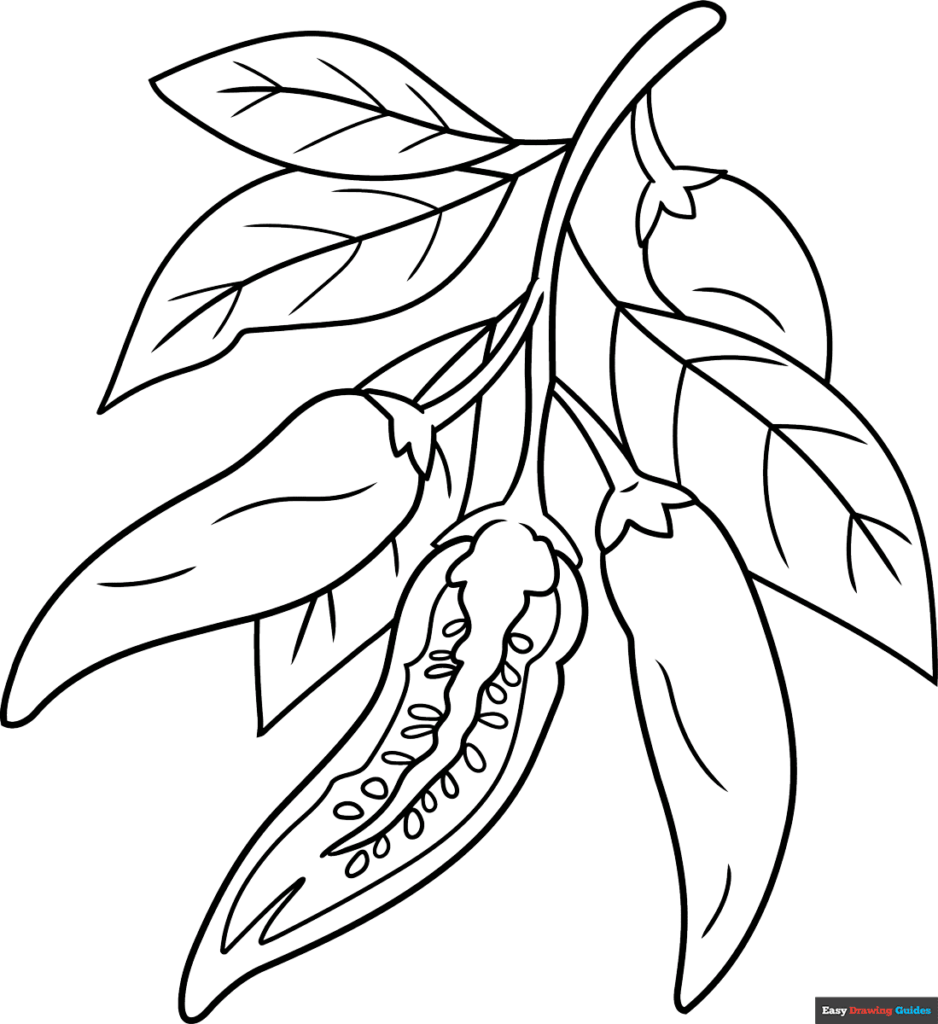 Black-and-white line drawing of hanging chili peppers with leaves