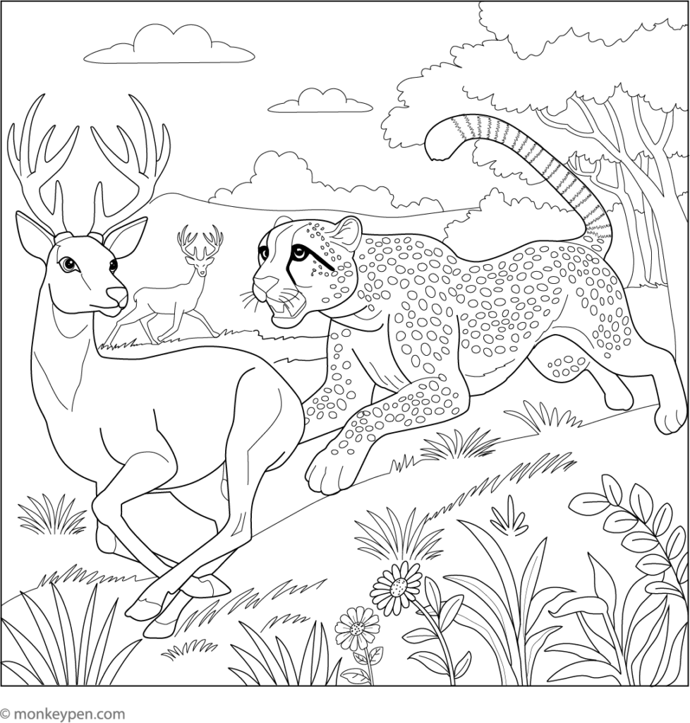 Line drawing of a cheetah and two deer in grassland