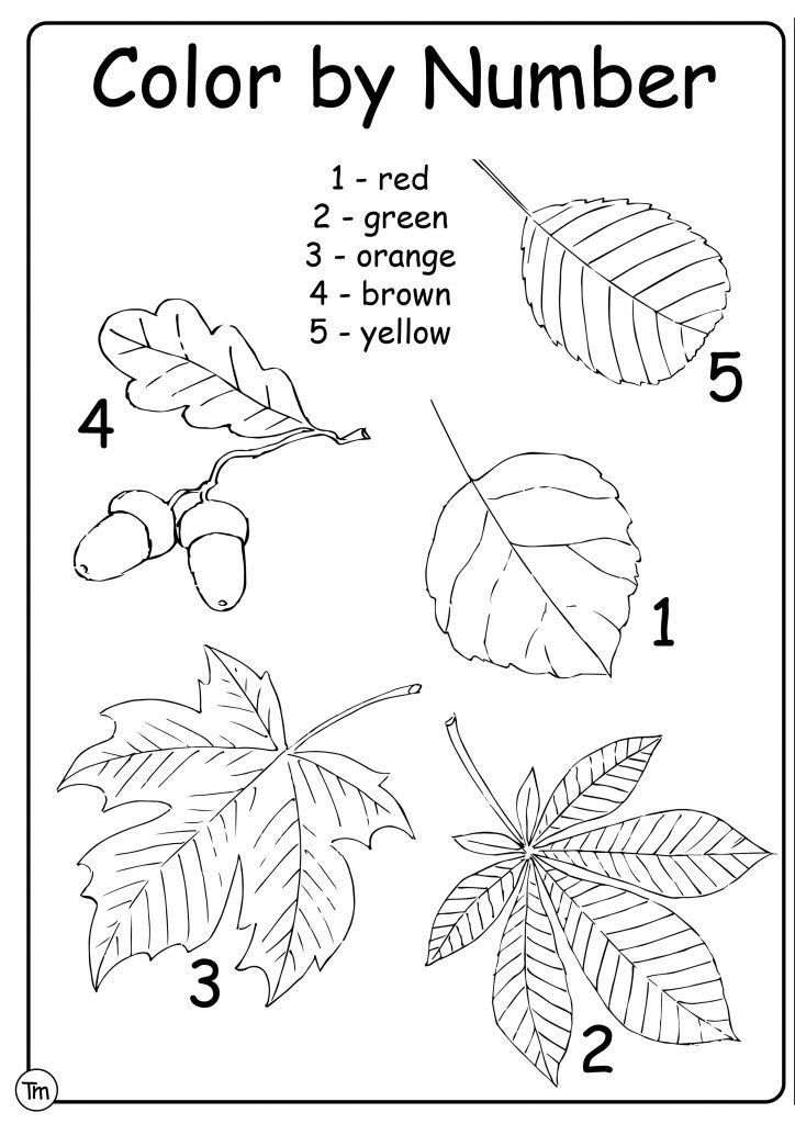 Fall leaves color-by-number worksheet with numbered drawings