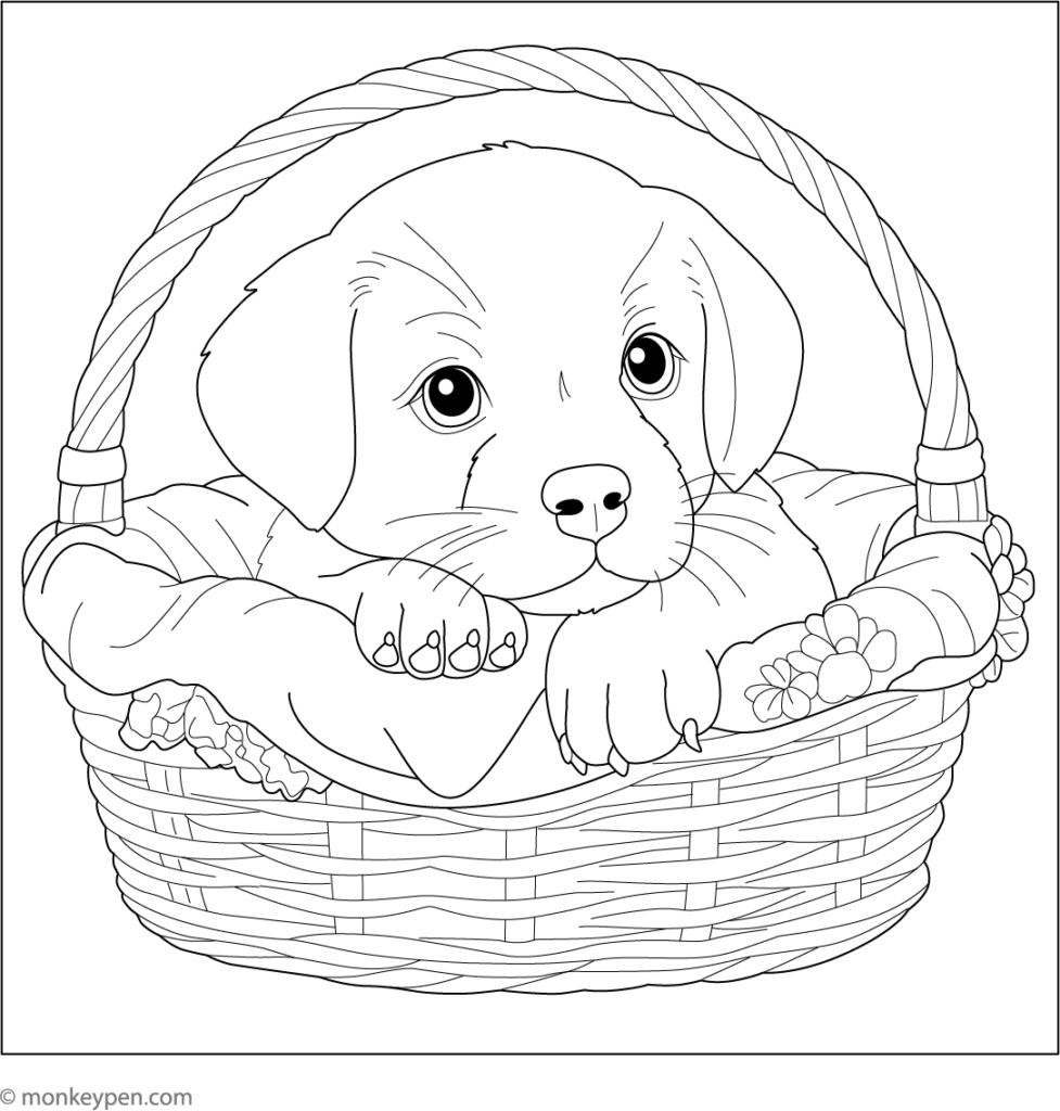 Line drawing of puppy in wicker basket with blanket