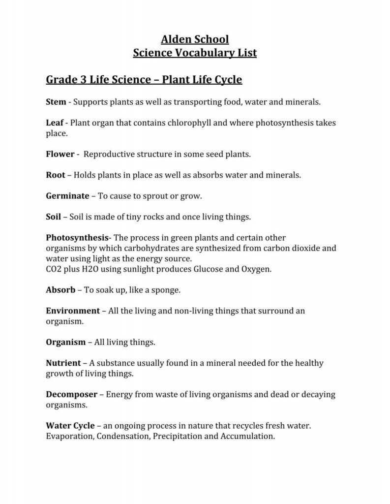 A science vocabulary list about plant life cycle
