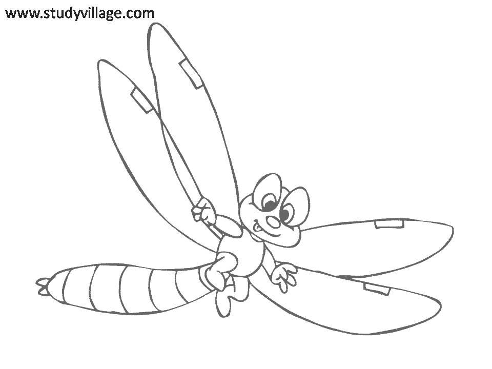 Cartoon dragonfly line drawing on white background