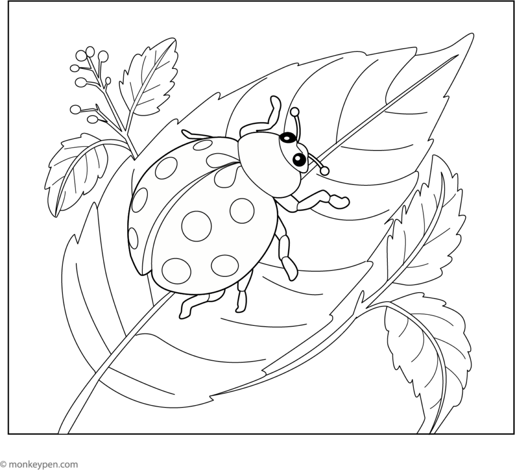Coloring page of ladybug on leaves