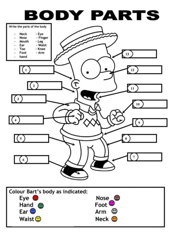 Bart Simpson body parts worksheet with labeled arrows and color key