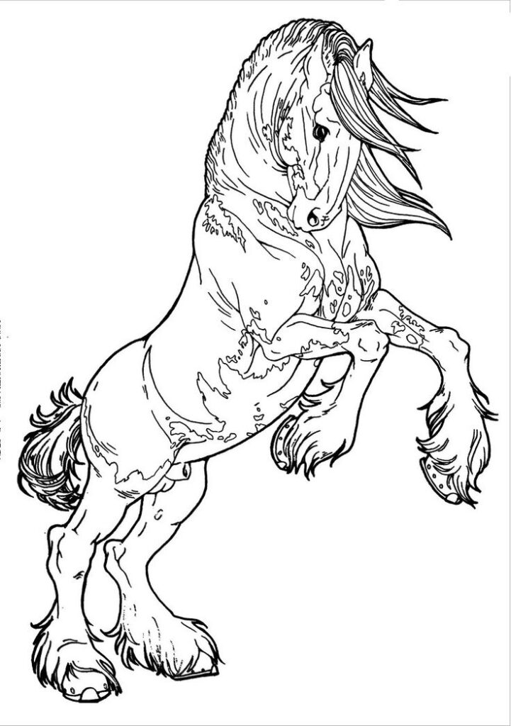 Black and white drawing of rearing horse