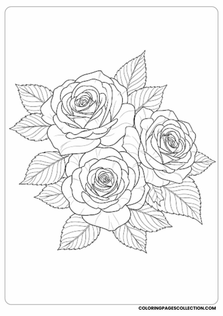 Three roses with leaves in line art