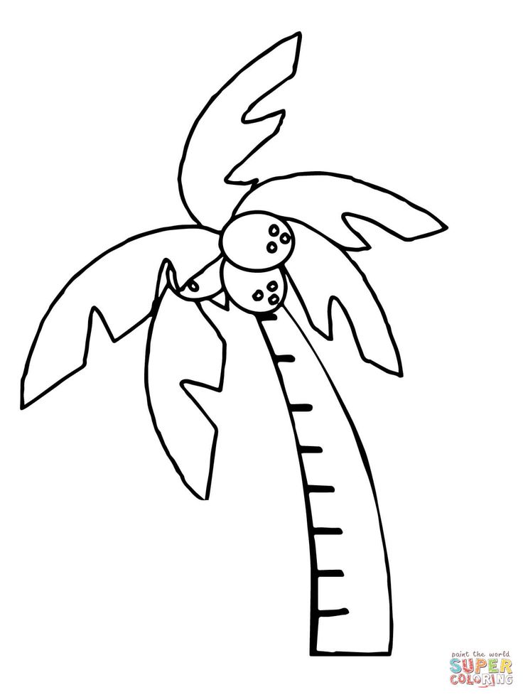 Black outline of a palm tree on white background