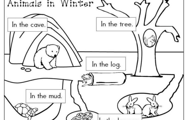 Winter animals worksheet with labeled habitats and drawings