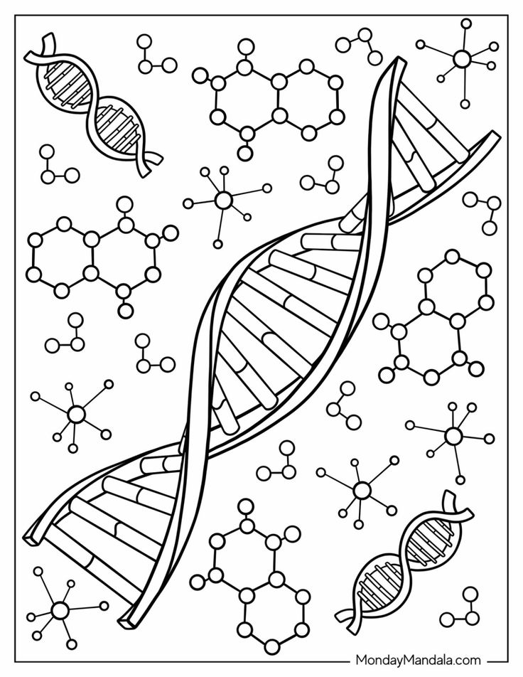 DNA double helix with molecular diagrams on white background