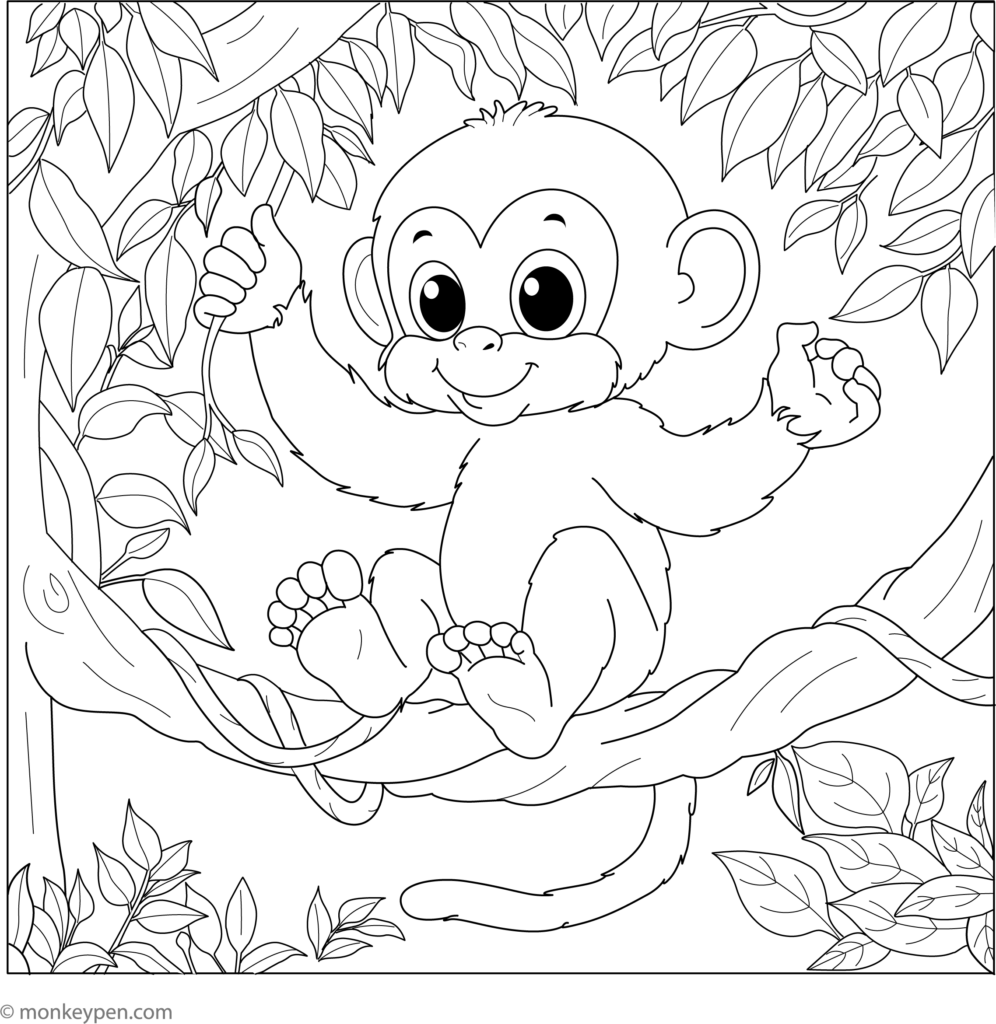 Cute monkey sitting on tree branch among leaves
