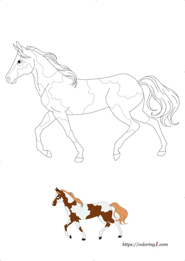 Horse coloring page with outlined and colored horses