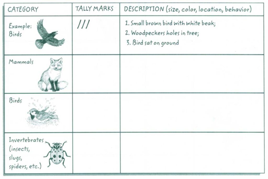 Wildlife tally worksheet with animal category table