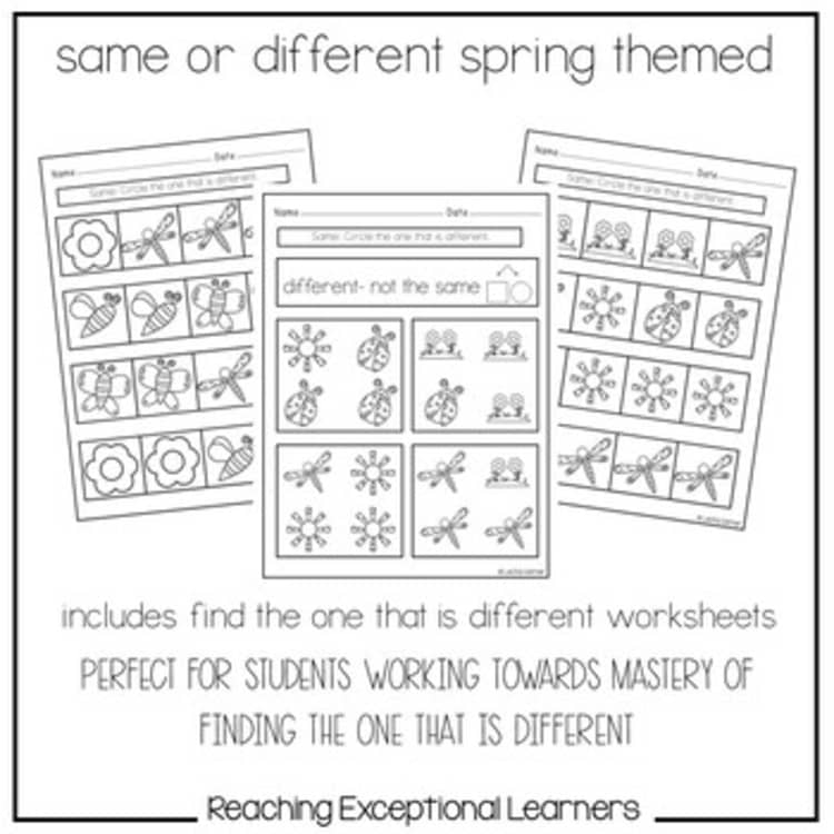 Three spring-themed worksheets with insects and flowers